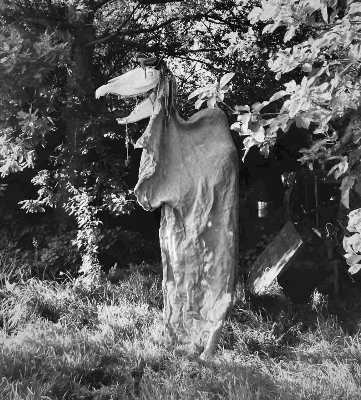 A photo of the website owner under a Mari Lwyd's frock.